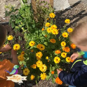 vocaaltjes-kids-moestuin-educatie-11